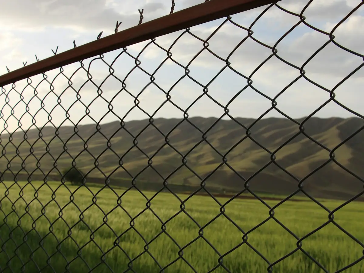 Chain-link fence along the edge of a property